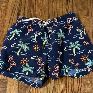 Chubbies Navy and Multicolor Swim Shorts
